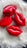 💋 Masques pour les lèvres hydratants – Lot de 22 pièces ❤️